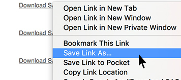 Select Save Link As...
