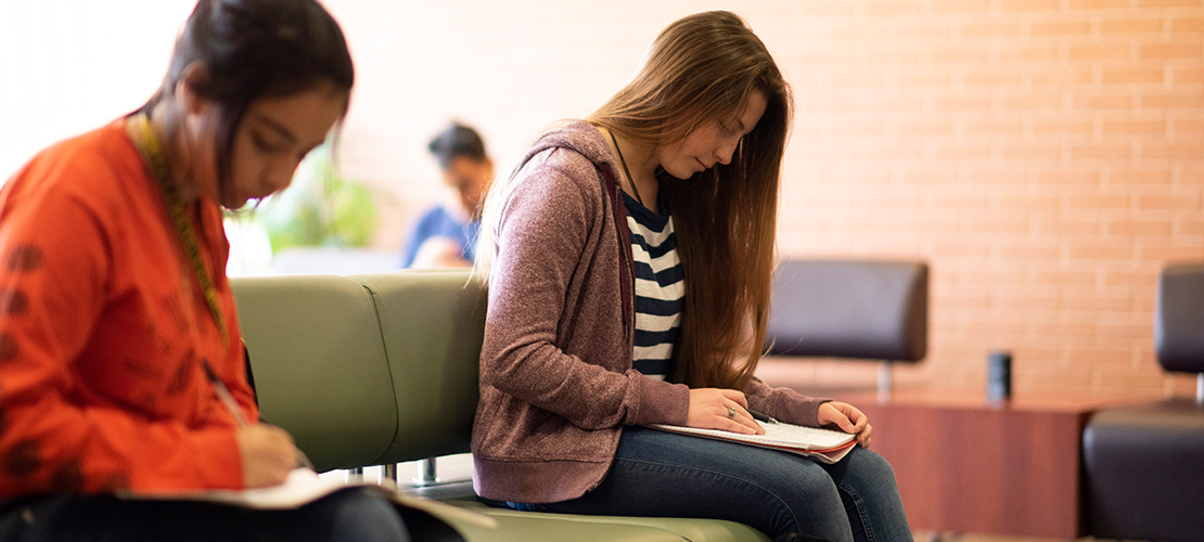 Two students studying in the library