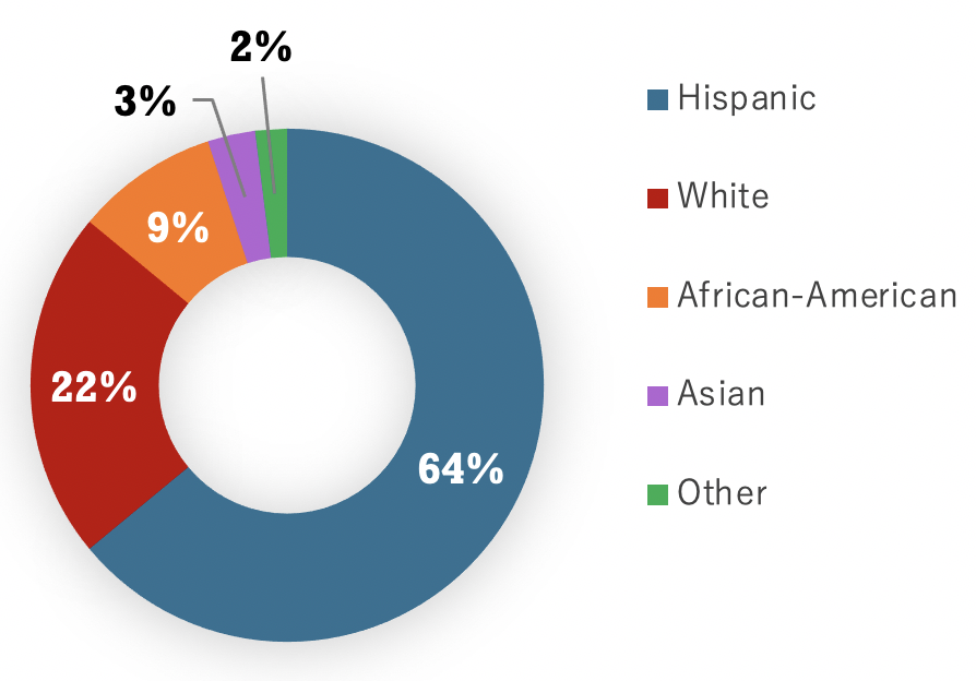 stud-ethnicity.png