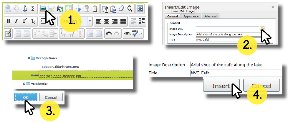 3.5 Adding an image