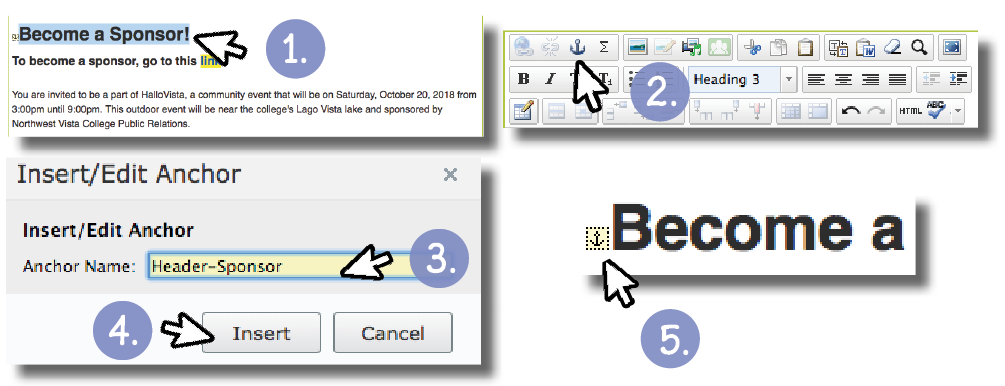 2.6 Adding an Anchor Link Step 1